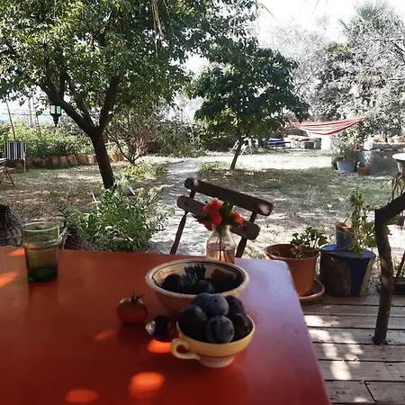La Maison De Frida *